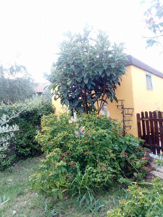 Bed and Breakfast Beb Da Tina Roccasecca Екстер'єр фото