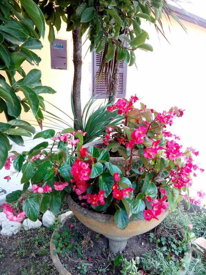 Bed and Breakfast Beb Da Tina Roccasecca Екстер'єр фото